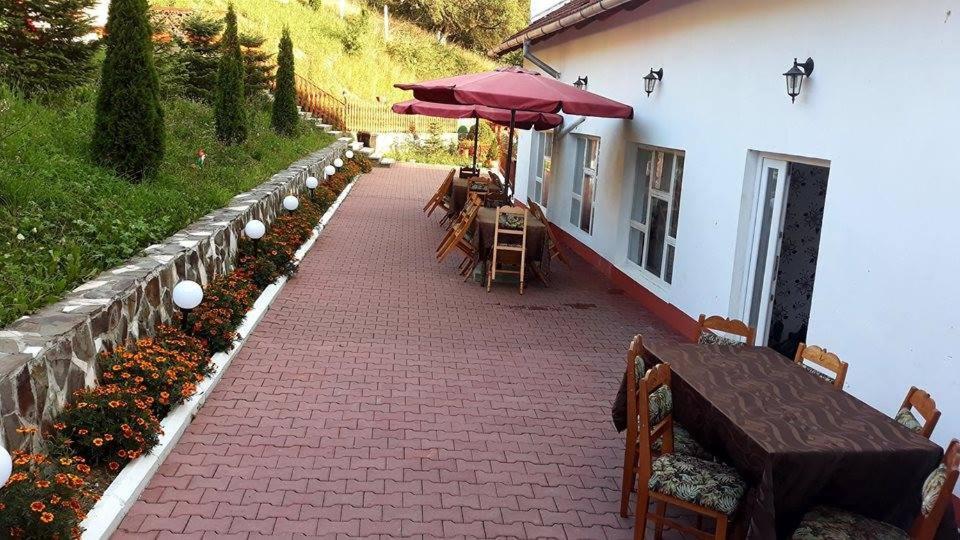 Pensiunea Tinelu Brasov Sacele Bagian luar foto