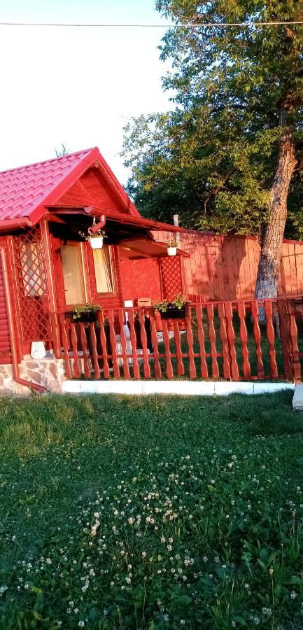 Pensiunea Tinelu Brasov Sacele Bagian luar foto