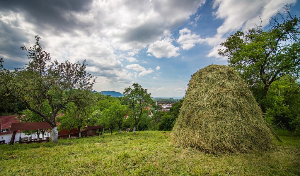 Pensiunea Tinelu Brasov Sacele Bagian luar foto